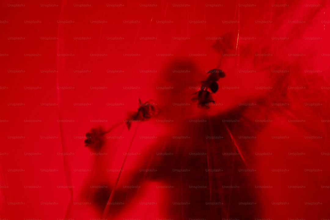http://upload.mnw.cn/2025/0611/1749632300311.jpg
